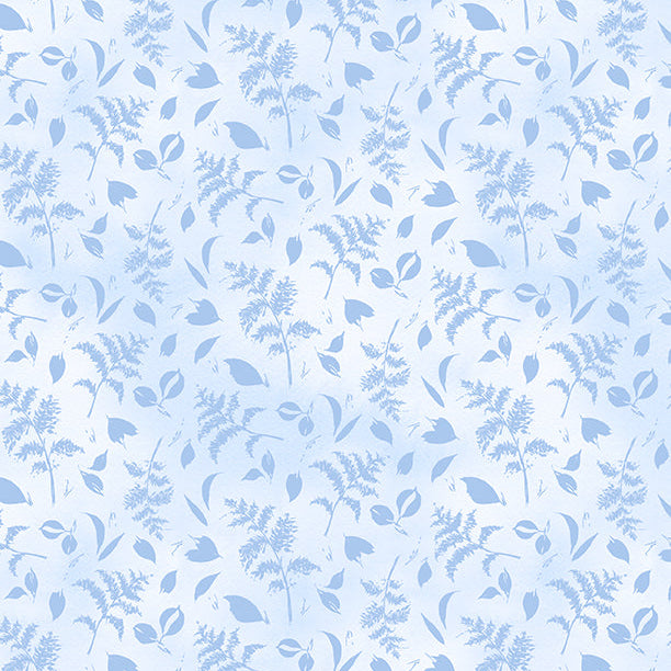 Dreaming in Blue White