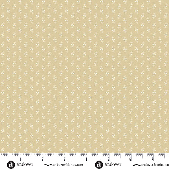 Latte by Andover Fabrics Cream Cream and Off-White