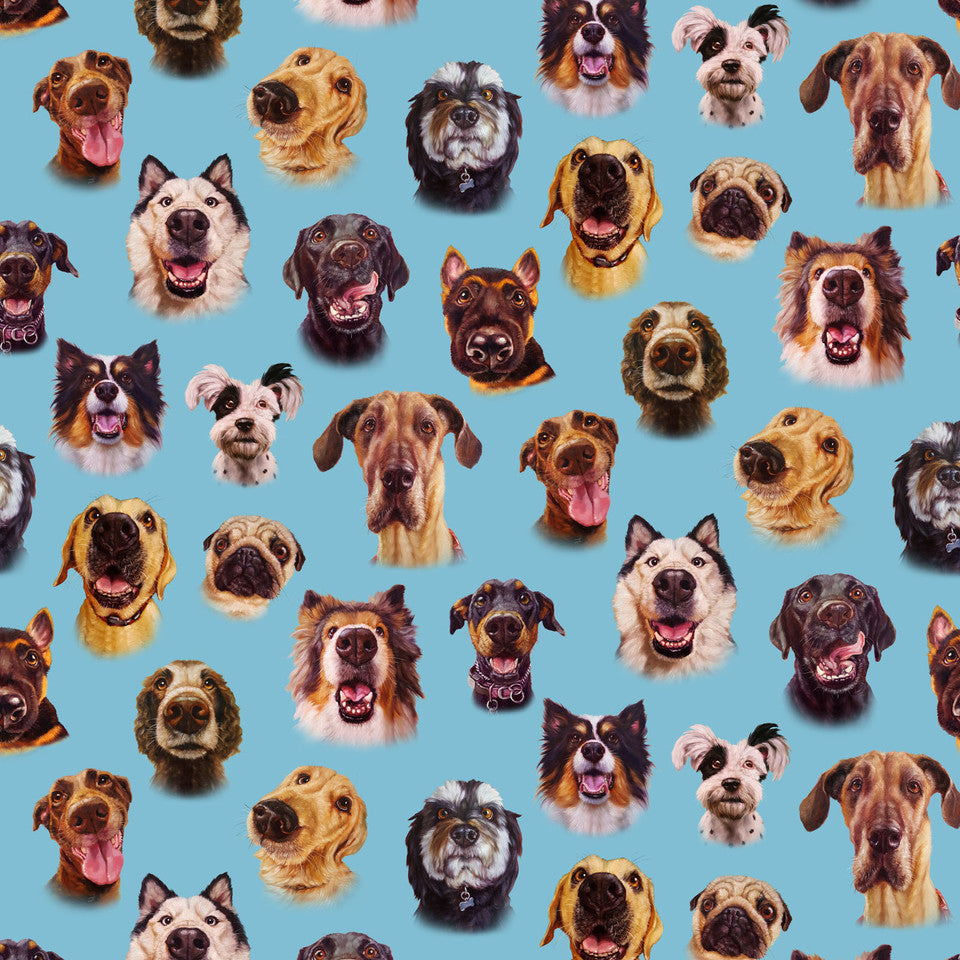 (Craft Fabric) Follow Your Nose Dog Faces Blue