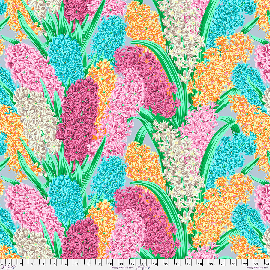 August 2023 Hyacinthus - Grey