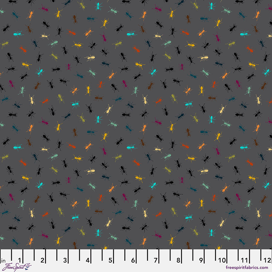 Garden Bed Ants - Gray