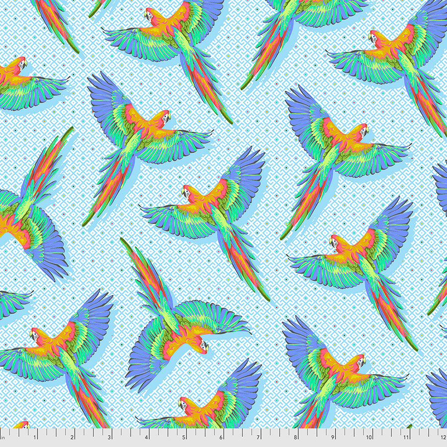 Daydreamer Macaw Ya Later - Cloud