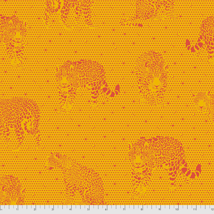 Daydreamer Lil Jaguars - Papaya