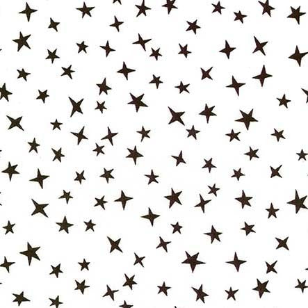 Stargazer Dalmatian