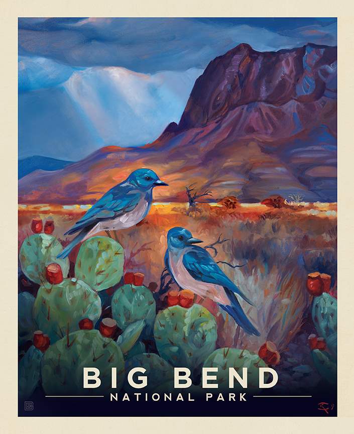 National Parks Big Bend Poster Panel