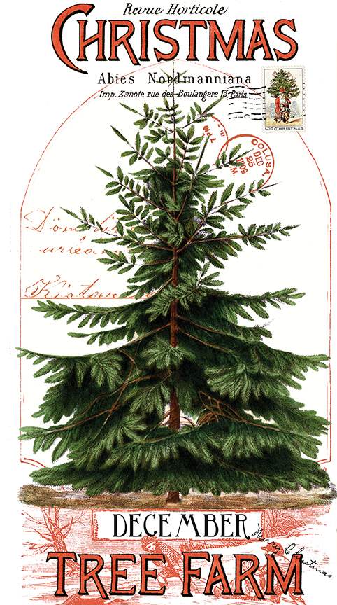 Classic Christmas Christmas Botanical Main Panel