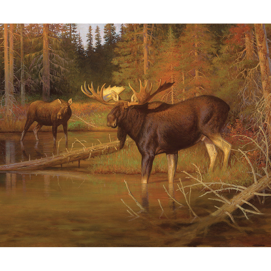 Majestic in Nature Intruder Panel