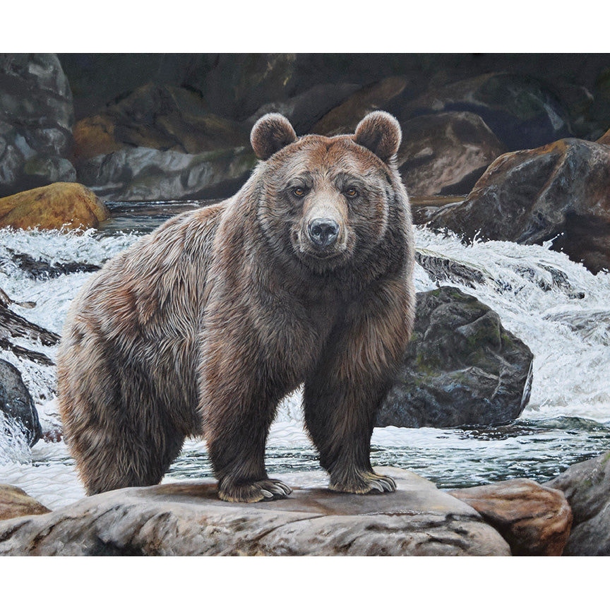 Majestic in Nature No Fish Today Panel