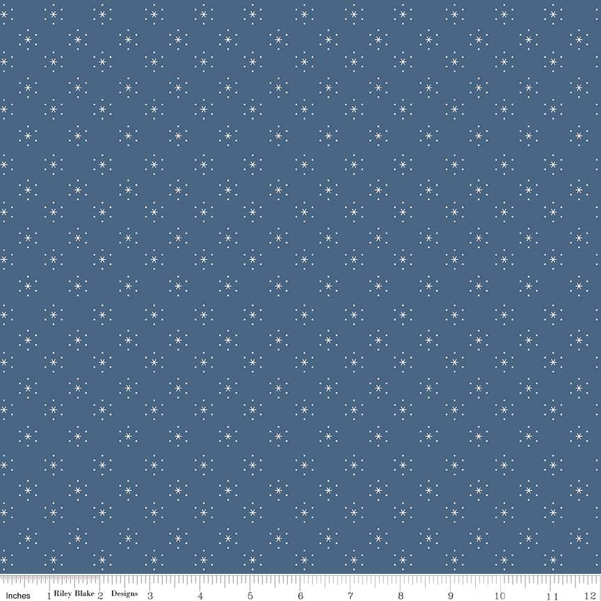 Americana Sparkle Denim