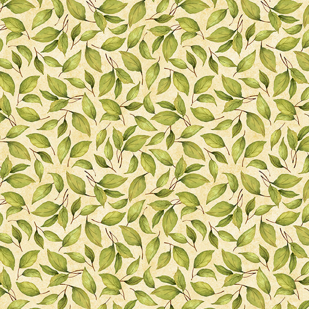 Sunflower Splendor Cream