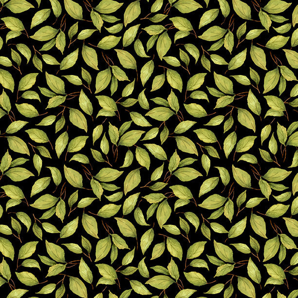 Sunflower Splendor Black