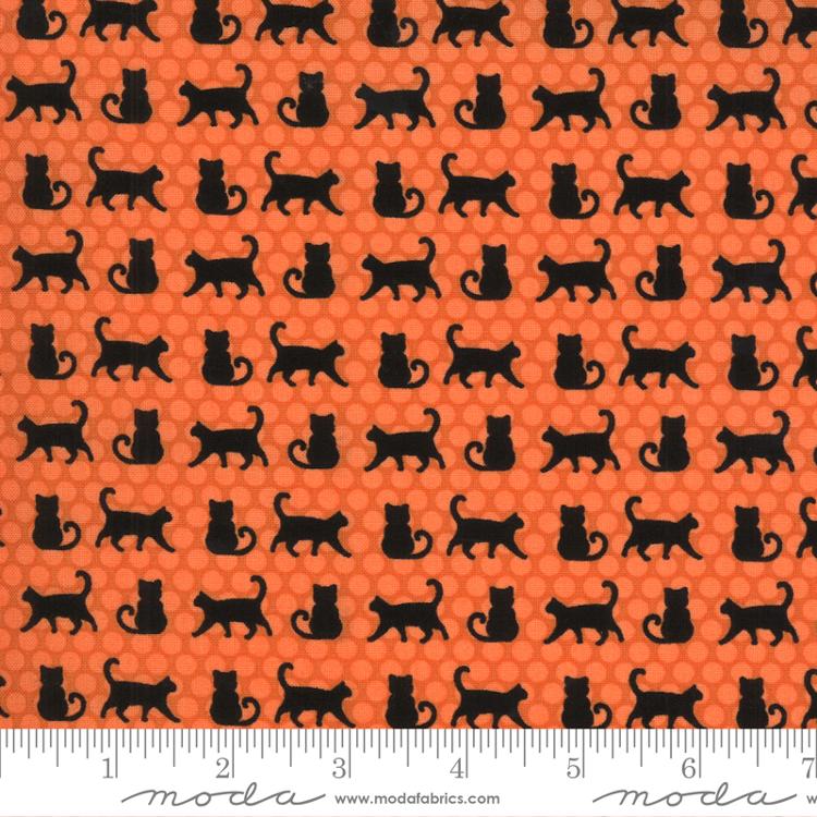 Midnight Magic 2 Pumpkin Cat Parade