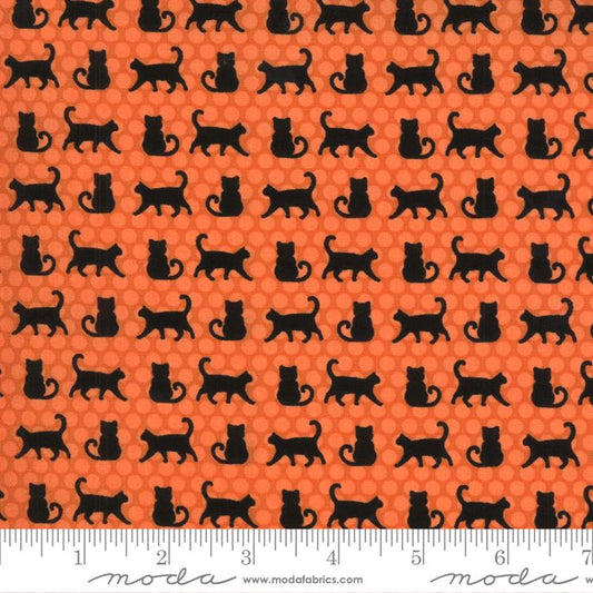 Midnight Magic 2 Pumpkin Cat Parade