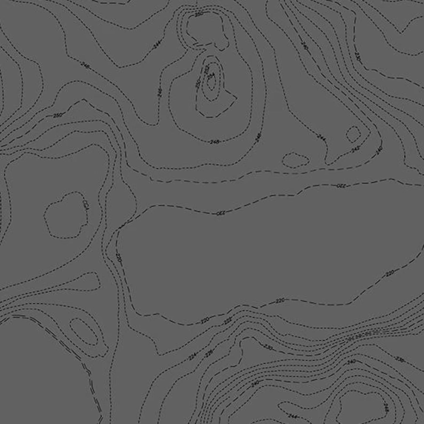 Sun Print 2023 by Alison Glass Topography Night