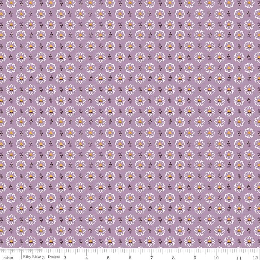Prairie Heritage Heirloom Plum