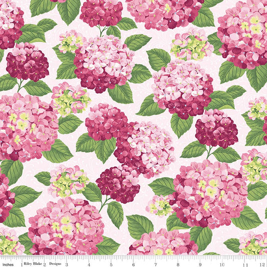 Hydrangeas in the Garden Main Pink Pearl