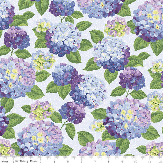Hydrangeas in the Garden Main Powder Pearl