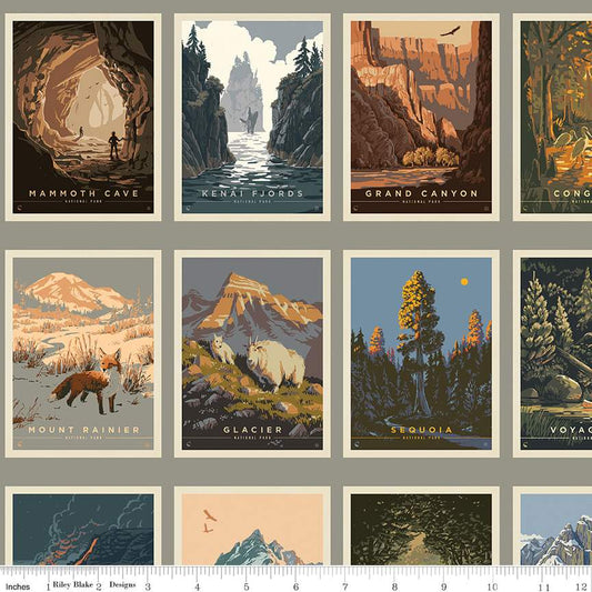 National Parks Postcards Gray