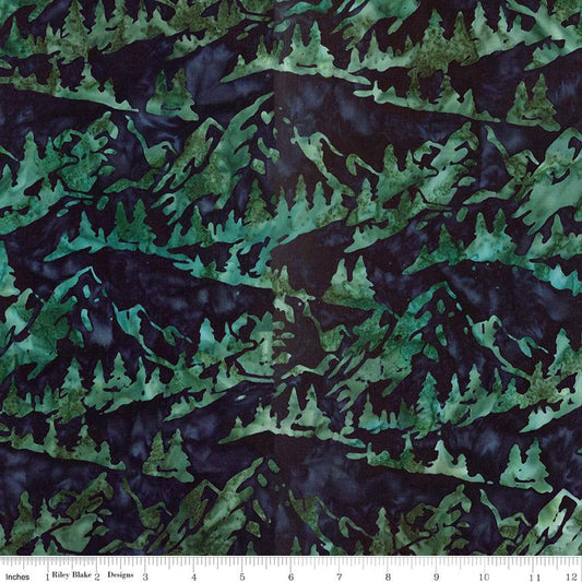 Expressions Batiks Places You'll Go Dark Vintage Green