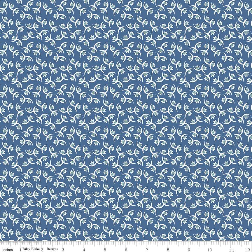 Prairie Memories Denim
