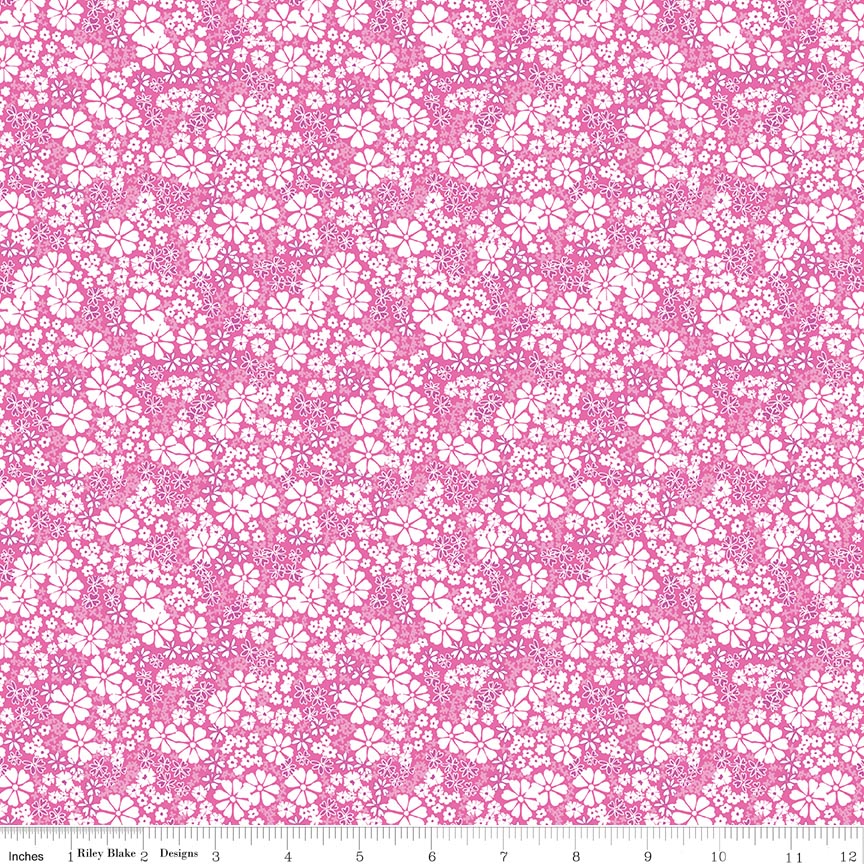 Chasing Rainbows Everbloom Pink