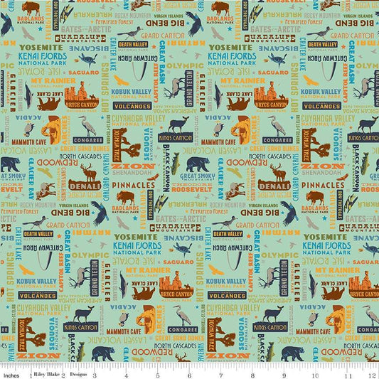National Parks Word Print Sea Green