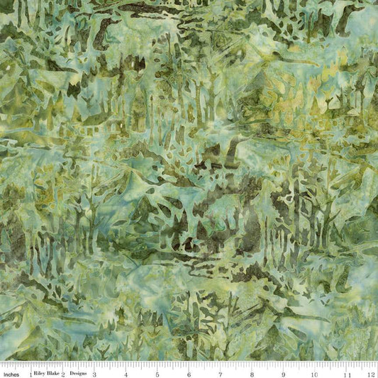 Expressions Batiks Places You'll Go Thyme