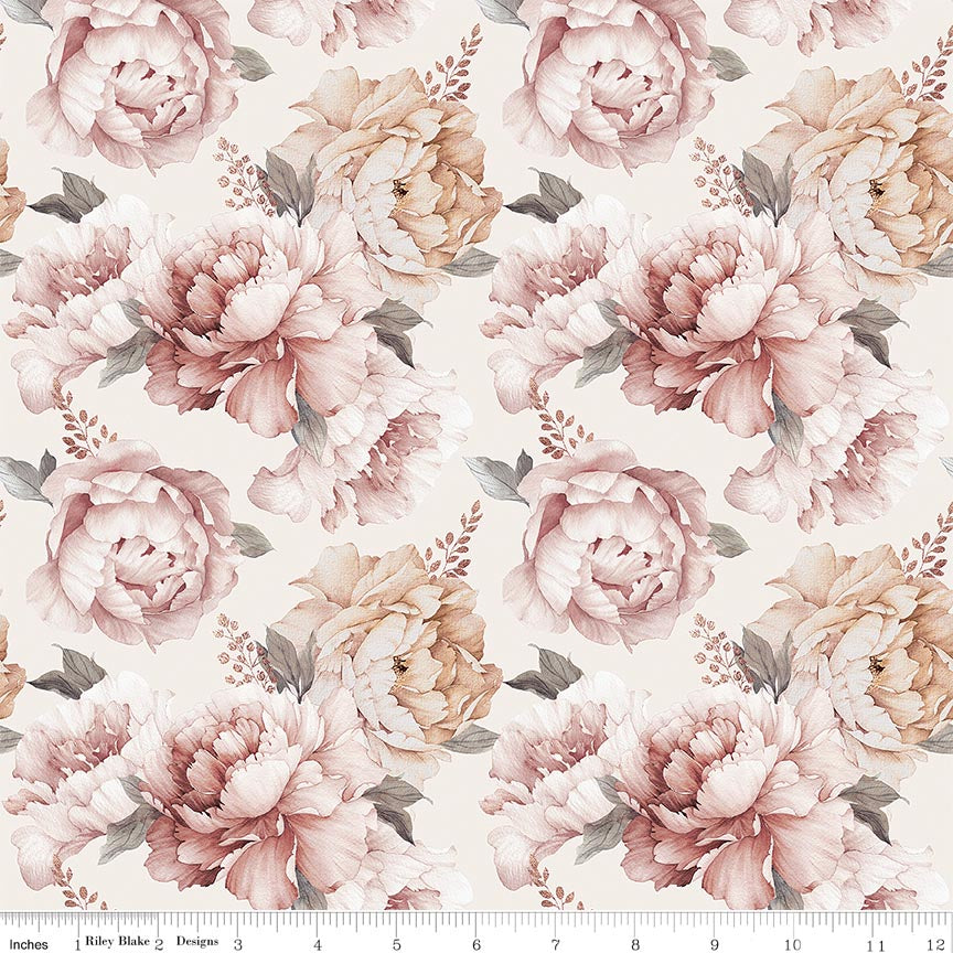Daybreak on the Prairie Peonies Cream