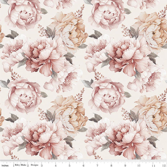 Daybreak on the Prairie Peonies Cream
