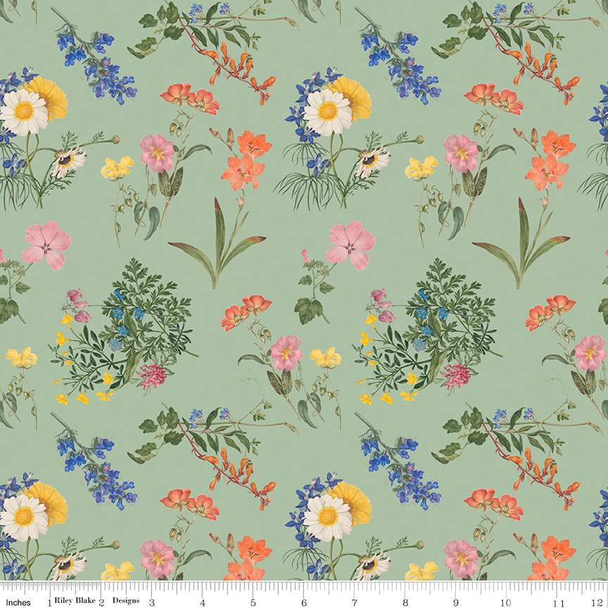 Nature's Portrait Cute Cuttings Sage